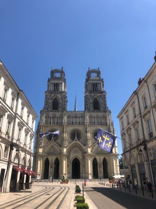 Le Domremy F2 Au Coeur D'Orleans Διαμέρισμα Εξωτερικό φωτογραφία