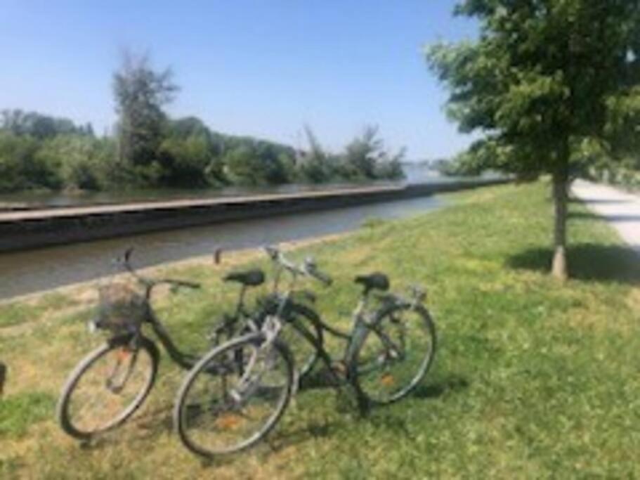 Le Domremy F2 Au Coeur D'Orleans Διαμέρισμα Εξωτερικό φωτογραφία